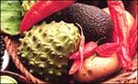 Spices are crucial in Indian cuisine