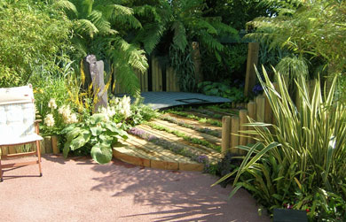 The Urban Jungle