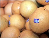 Laranjas