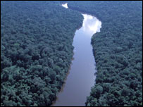 Rừng Amazon