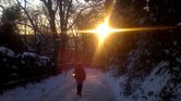 Winter's morning...