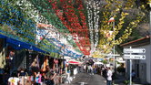 Madeira Festival... Madeira Festival...