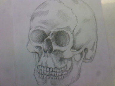 Skull