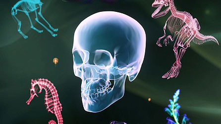 Darwin season