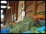 Farm Shop