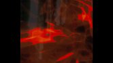 VJing
