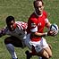 Lee Williams o dîm rygbi Cymru