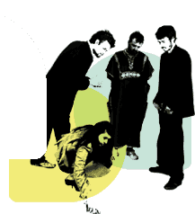 Guillemots