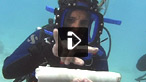 Research diving in Tanzania for climatic data