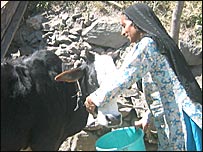 परवीना