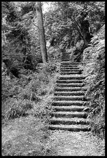 Flights of leaf covered steps to a Church of Ireland near the River Roe