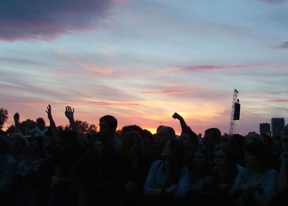 The Crowd