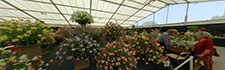 Spring Gardening Show 2006