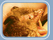 Daubenton's Bat