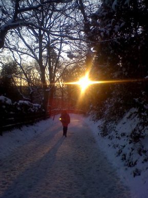 Winter's morning