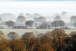 Countryside