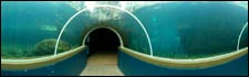 Bristol Zoo
