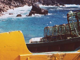 Fishing boats