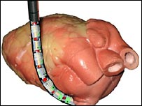 20071229105928knife203.jpg