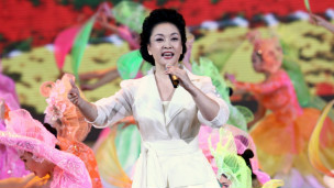 彭麗媛