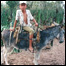 Trabalhador rural