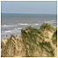 Sandy beaches index (Image: Formby)