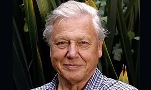 David Attenborough