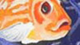 Fish!