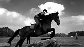 Horse jump