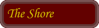 The Shore