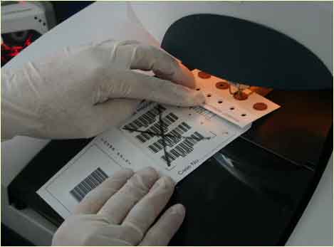 DNA samples of those killed in the massacre.