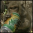 banquete de macacos
