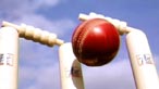 Cricket