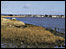 Exe Estuary (RSPB)