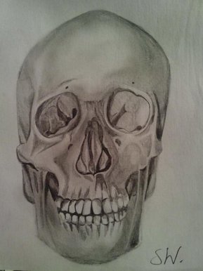 skull