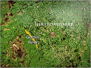Golden Valley