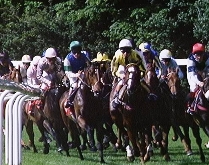 A day at the races