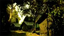Big Cat camp