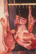 Cuts of meat hanging in a shop