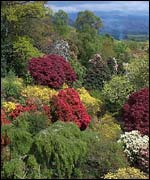 Looking from the castle towards the River Esk