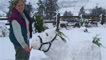 snow horse