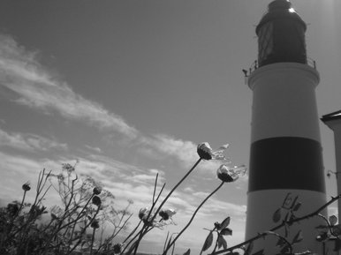 Light house