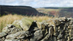 An old stone boundary wall