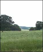 Great Avenue