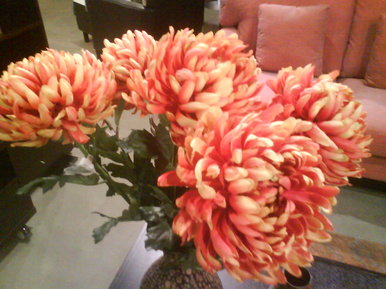 Flower zoom