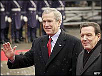 Bush