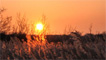 Sunset over Cosmeston Lakes by Ben Salter