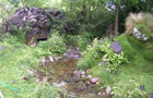 (image: The 4Head Garden of Dreams)