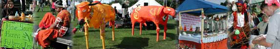 glimpses from the Edinburgh Mela