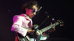 The Mystery Jets